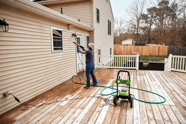 Best Pressure Washing Near Me  in Rodney Village, DE